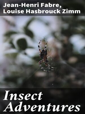 cover image of Insect Adventures